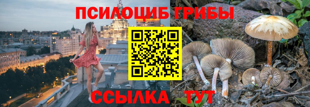 Псилоцибиновые грибы Cubensis Златоуст